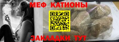 прущие грибы Новозыбков
