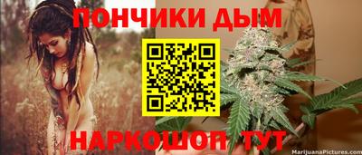 прущие грибы Новозыбков