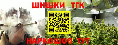 прущие грибы Новозыбков