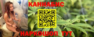 прущие грибы Новозыбков