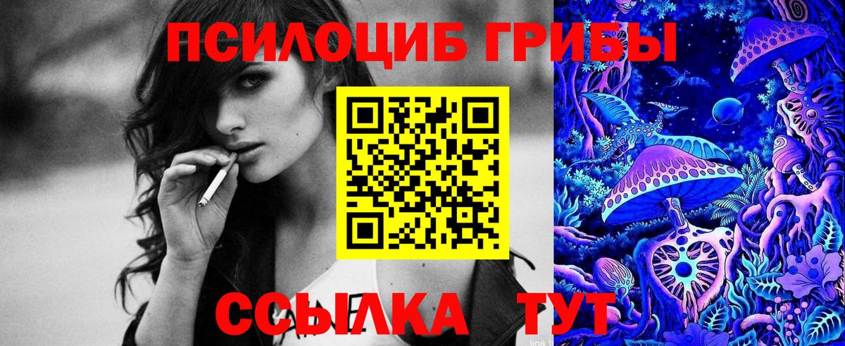 Псилоцибиновые грибы Psilocybine cubensis  Псилоцибиновые грибы прущие грибы  Вход с VPN  Уварово 