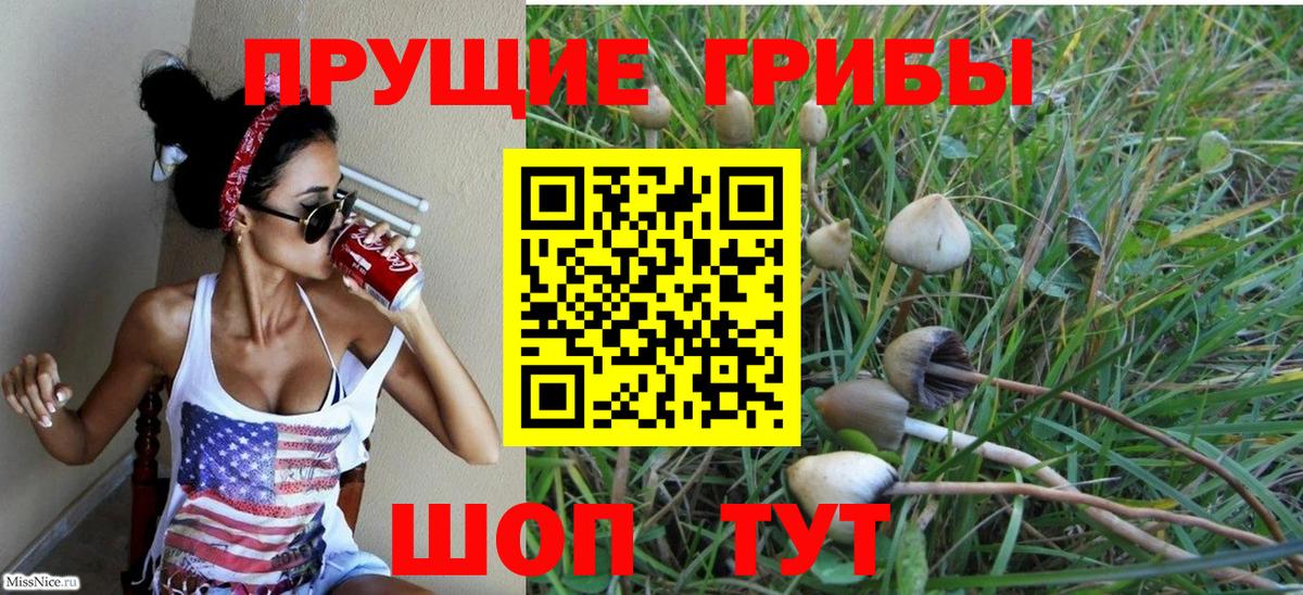 Галлюциногенные грибы Psilocybine cubensis Уварово
